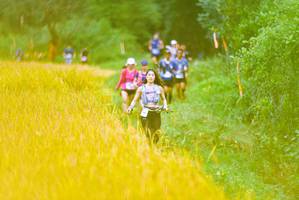 BIB: 
                            <button type="button" onclick="openModal(13455734)" class="btn btn-primary btn-sm float-right btn-popup" data-toggle="modal" data-target=".modal-high-quality">
                        <i class="fas fa-shopping-cart"></i> Add to Cart
                    </button>
                                            <button type="button" onclick="isThisMe(13455734, true)" class="btn btn-success btn-sm float-right btn-popup btn-isme hidden" data-toggle="tooltip" data-placement="bottom" title="นี่คือรูปของคุณใช่ไหม คลิกที่นี่เพื่อเอาเข้าอัลบั้ม">
                        <i class="fas fa-plus"></i> Add to album
                    </button>
                    <button type="button" onclick="isThisMe(13455734, false)" class="btn btn-warning btn-sm float-right btn-popup btn-isnotme hidden">
                        <i class="fas fa-ban"></i> Remove from album
                    </button>